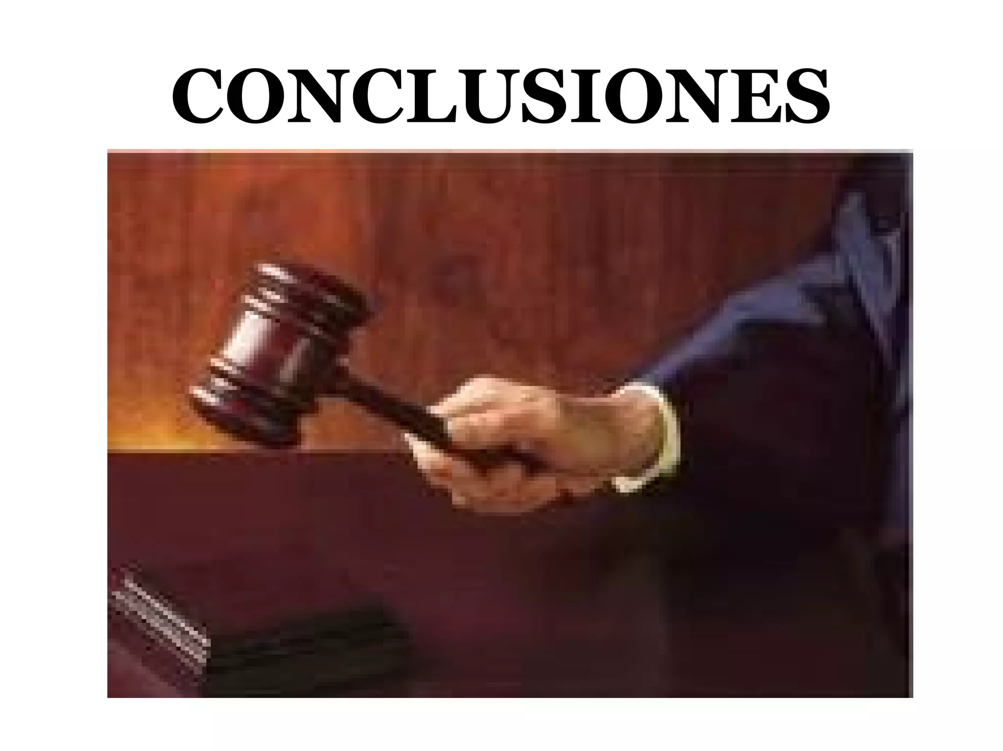 CONCLUSIONES 