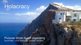 Holacracy
Purpose driven & self organising
ScrumTrek - Joost Schouten - October 7th 2016
 