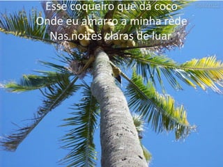 Esse coqueiro que dá coco
Onde eu amarro a minha rede
Nas noites claras de luar.

 