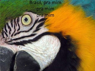 Brasil, pra mim
pra mim
pra mim

 