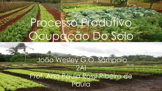 Processo Produtivo
Ocupação Do Solo
João Wesley G.O. Sampaio
2AI
Prof. Ana Paula Rossi Ribeiro de
Paula
 