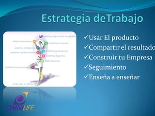 Línea de Belleza NUTRICIONAL