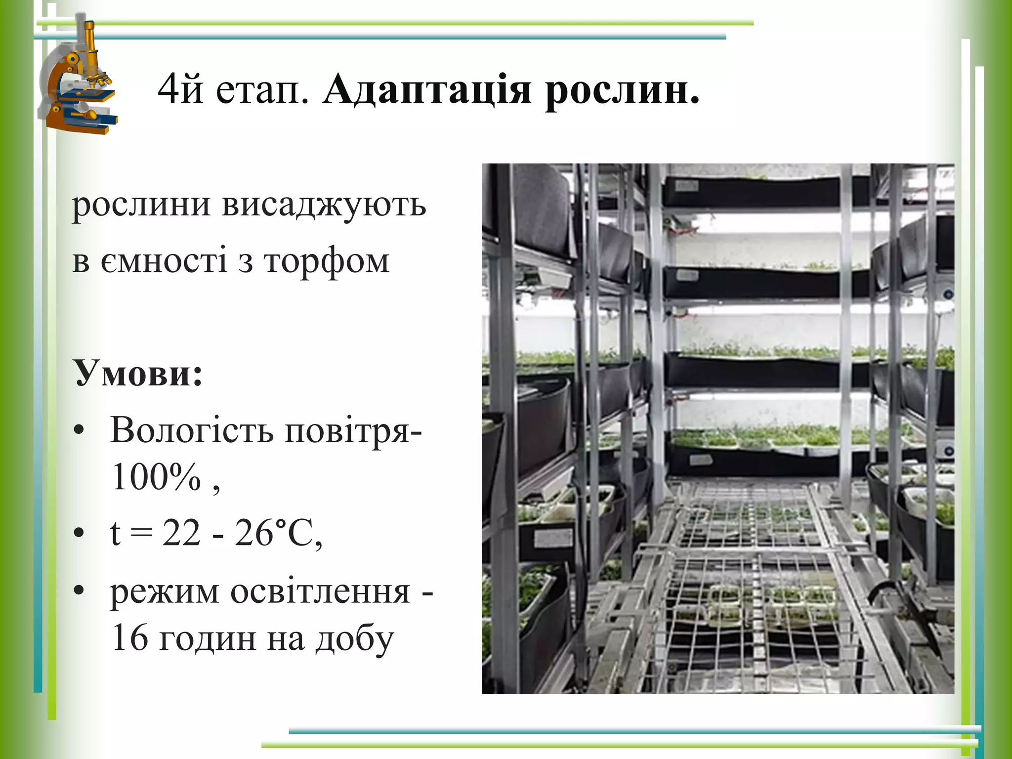 рослини висаджують
в ємності з торфом
Умови:
• Вологість повітря-
100% ,
• t = 22 - 26°С,
• режим освітлення -
16 годин на добу
4й етап. Адаптація рослин.
 