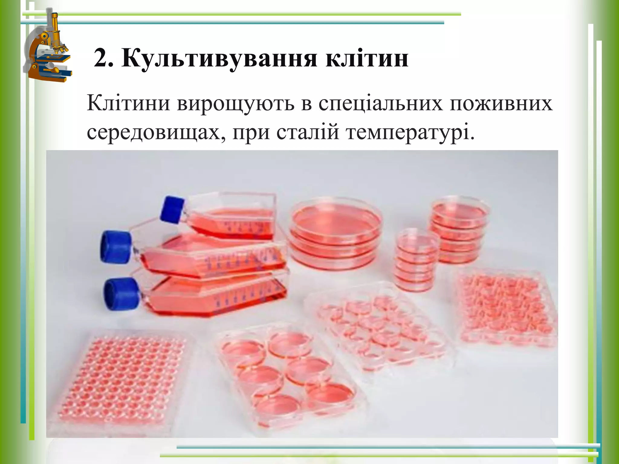 2. Культивування клітин
Клітини вирощують в спеціальних поживних
середовищах, при сталій температурі.
 