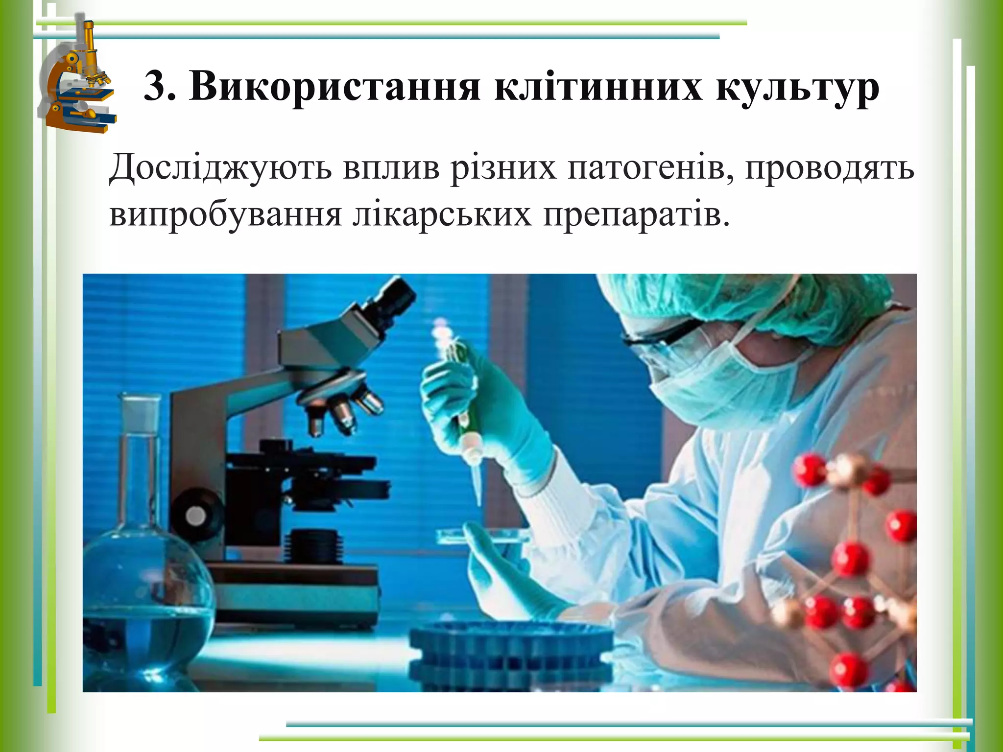 3. Використання клітинних культур
Досліджують вплив різних патогенів, проводять
випробування лікарських препаратів.
 