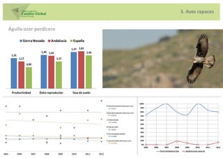 3. Aves rapaces


Águila-azor perdicera

           Sierra Nevada      Andalucía    España

                                          1,57 1,61
                       1,45 1,41                      1,43
 1,31
        1,17                       1,17
               0,92




 Productividad        Éxito reproductor   Tasa de vuelo


                                                             100%
                                                             90%
                                                             80%
                                                             70%
                                                             60%
                                                             50%
                                                             40%
                                                             30%
                                                             20%
                                                             10%
                                                              0%
                                                                2005   2006       2007     2008     2009    2010        2011   2012
                                                                              ÉXITO REPRODUCTOR     MORTALIDAD ADULTA
 