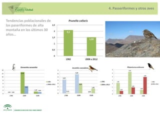 4. Passeriformes y otras aves


Tendencias poblacionales de
los paseriformes de alta
montaña en los últimos 30
años…
 