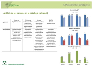 4. Passeriformes y otras aves


 Análisis de los cambios en la cota baja (robledal)


                    Invierno                Primavera                 Verano                   Otoño
Aparecen       Aegithalos caudatus      Aegithalos caudatus      Aegithalos caudatus          Pica pica
                                           Sylvia cantilans         Sylvia cantilans       Motacilla cinerea
                                         Regulus ignicapillis       Parus cristatus
                                         Saxicola torquata           Upupa epops
                                           Sitta europaea           Sitta europaea
Desaparecen     Prunella modularis         Serinus serinus         Sylvia atricapilla          Parus major
                Columba palumbus           Oriolus oriolus            Parus major            Parus cristatus
                   Alectoris rufa        Carduelis carduelis      Erithacus rubecula    Troglodytes troglodytes
               Phylloscopus collybita        Picus viridis             Parus ater           Turdus viscivorus
                  Emberiza cirlus         Stretopelia turtur        Oriolus oriolus      Certhia brachydactyla
                 Turdus viscivorus         Alauda arvensis        Carduelis carduelis       Muscicapa striata
              Troglodytes troglodytes                                 Picus viridis        Ficedula hypoleuca
                Regulus ignicapillis                               Stretopelia turtur        Emberiza cirlus
                                                                    Lullula arbórea      Phylloscopus collybita
                                                                    Alauda arvensis         Sylvia atricapilla
                                                                Luscinia megarhynchos     Phylloscopus Bonelli
                                                                 Phoenicurus ochruros     Hyppolais polyglotta
                                                                   Sylvia communis
                                                                 Hyppolais polyglotta
                                                                  Columba palumbus
 