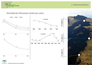 1. Micromamíferos


Densidad de Chionomys nivalis por cotas:




                                           3.000 m.
                                           2.500 m.
                                           2.000 m.
 