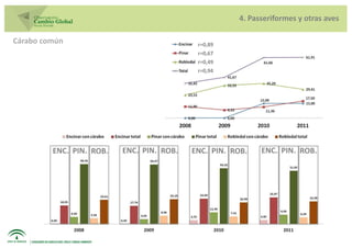 4. Passeriformes y otras aves

Cárabo común                                r=0,89
                                            r=0,67
                                            r=0,49
                                            r=0,94




         ENC. PIN. ROB.   ENC. PIN. ROB.   ENC. PIN. ROB.   ENC. PIN. ROB.
 