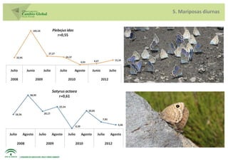 5. Mariposas diurnas
 