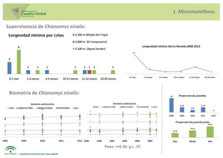 1. Micromamíferos

Supervivencia de Chionomys nivalis:




 Biometria de Chionomys nivalis:




                                      Peso: r=0,39; g.l.: 57.
 