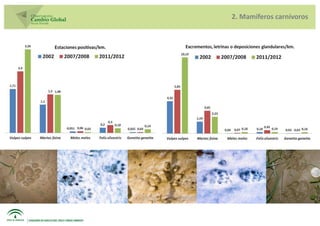 2. Mamíferos carnívoros
 