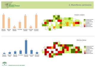 2. Mamíferos carnívoros



     Vulpes vulpes




       Martes foina
 