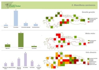 2. Mamíferos carnívoros

         Genetta genetta




             Meles meles




             Felis silvestris
 