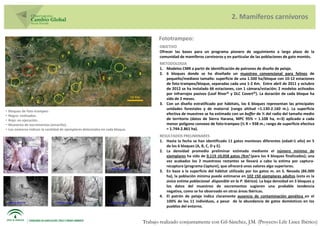 2. Mamíferos carnívoros

                                                                                          Fototrampeo:
                                                                                           OBJETIVO
                                                                                           Ofrecer las bases para un programa pionero de seguimiento a largo plazo de la
                                    1                                                      comunidad de mamíferos carnívoros y en particular de las poblaciones de gato montés.
                                                    1                                      METODOLOGIA
                                                                                           1. Modelos CMR a partir de identificación de patrones de diseño de pelaje.
                                                                               5           2. 6 bloques donde se ha diseñado un muestreo convencional para felinos de
                                                             2                                pequeño/mediano tamaño: superficie de una 1.500 ha/bloque con 10-12 estaciones
                                                                                              de foto-trampeo/bloque, separadas cada una 1-2 Km. Entre abril de 2011 y octubre
                                                                                              de 2012 se ha instalado 66 estaciones, con 1 cámara/estación; 2 modelos activados
                                                                                              por infrarrojos pasivos (Leaf River© y DLC Covert©). La duración de cada bloque ha
                                                                                              sido de 2 meses.
                     2
                                                                                           3. Con un diseño estratificado por hábitats, los 6 bloques representan las principales
                                                                                              unidades forestales y de matorral (rango altitud =1.130-2.160 m.). La superficie
•   Bloques de foto-trampeo:
•   Negro: realizados.                                                                        efectiva de muestreo se ha estimado con un buffer de ½ del radio del tamaño medio
•   Rojo: en ejecución.                                                                       de territorio (datos de Sierra Harana, MPC 95% = 1.108 ha, n=3) aplicado a cada
•   Muestreo de excrementos (amarillo).                                                       menor polígono convexo de foto-trampeo (½ R = 938 m.; rango de superficie efectiva
•   Los números indican la cantidad de ejemplares detectados en cada bloque.                  = 1.744-2.861 ha).
                                                                                           RESULTADOS PRELIMINARES
                                                                                           1. Hasta la fecha se han identificado 11 gatos monteses diferentes (edad>1 año) en 5
                                                                                              de los 6 bloques (A, B, C, D y E).
                                                                                           2. La densidad promedio preliminar estimada mediante el número mínimo de
                                                                                              ejemplares ha sido de 0,119 ±0,058 gatos /Km2 (para los 4 bloques finalizados); una
                                                                                              vez acabados los 2 muestreos restantes se llevará a cabo la estima por captura-
                                                                                              recaptura (programa Capture), que ofrecerá unos valores algo superiores.
                                                                                           3. En base a la superficie del hábitat utilizado por los gatos m. en S. Nevada (86.000
                                                                                              ha), la población mínima puede estimarse en 102 ±50 ejemplares adultos (esta es la
                                                                                              única estima poblacional disponible en la P. Ibérica). La baja densidad en 3 bloques y
                                                                                              los datos del muestreo de excrementos sugieren una probable tendencia
                                                                                              negativa, como se ha observado en otras áreas Ibéricas.
                                                                                           4. El patrón de pelaje indica claramente ausencia de contaminación genética en el
                                                                                              100% de los 11 individuos, a pesar de la abundancia de gatos domésticos en los
                                                                                              pueblos del entorno.


                                                                                   Trabajo realizado conjuntamente con Gil-Sánchez, J.M. (Proyecto Life Lince Ibérico)
 