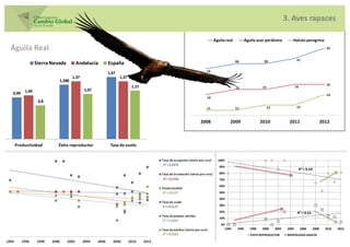 3. Aves rapaces

                                                                          Águila real           Águila azor perdicera           Halcón peregrino

Águila Real                                                                                                                                                   23


                                                                                        20                 20                        21
              Sierra Nevada      Andalucía    España
                                                                     19
                                              1,47
                                1,37                 1,37
                        1,288
                                                                                                                                                              16
                                                            1,15                        15                 15                       16
       1,04                            1,07
0,99                                                                                                                                                          14
                                                                     14
               0,8
                                                                     11                 11                      12                   12



                                                                   2008            2009                   2010                2011                          2012



 Productividad         Éxito reproductor       Tasa de vuelo


                                                                            100%

                                                                             90%
                                                                                                                                         R² = 0,54
                                                                             80%

                                                                             70%

                                                                             60%

                                                                             50%

                                                                             40%

                                                                             30%

                                                                             20%                                                     R² = 0,55
                                                                             10%

                                                                              0%
                                                                                1994     1996      1998   2000       2002    2004        2006        2008     2010   2012
                                                                                                   ÉXITO REPRODUCTOR         MORTALIDAD ADULTA
 