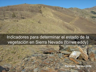 Indicadores para determinar el estado de la
 vegetación en Sierra Nevada (torres eddy)




                              Penélope Serrano Ortiz
 