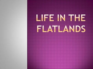 Life in the flatlands 