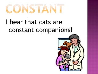 CONSTANTI hear that cats are constant companions!