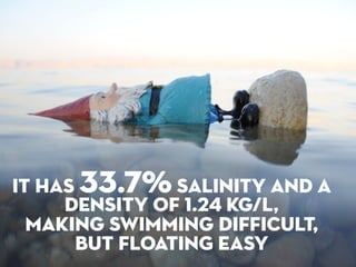 IT HAS 33.7% salinity aND A
     density of 1.24 kg/L,
  making swimming difficult,
      BUT FLOATING EASY
 