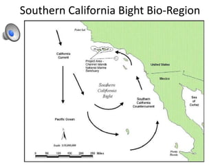 Southern California Bight Bio-Region
 