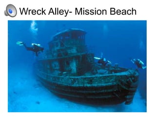 Wreck Alley- Mission Beach
 