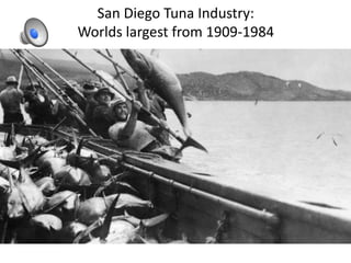 San Diego Tuna Industry:
Worlds largest from 1909-1984
 