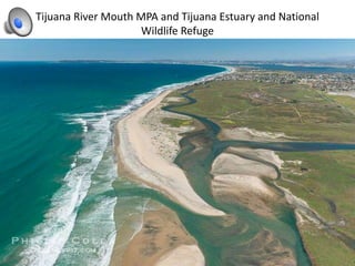 Tijuana River Mouth MPA and Tijuana Estuary and National
Wildlife Refuge
 