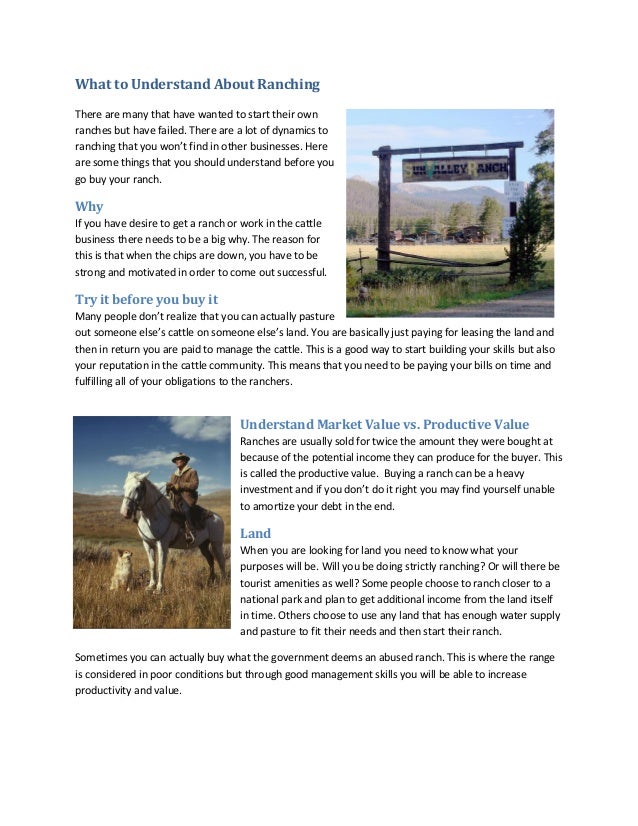 Introduction To Ranching , How to Start A Cow Farm: A Beginner’s Guide ...