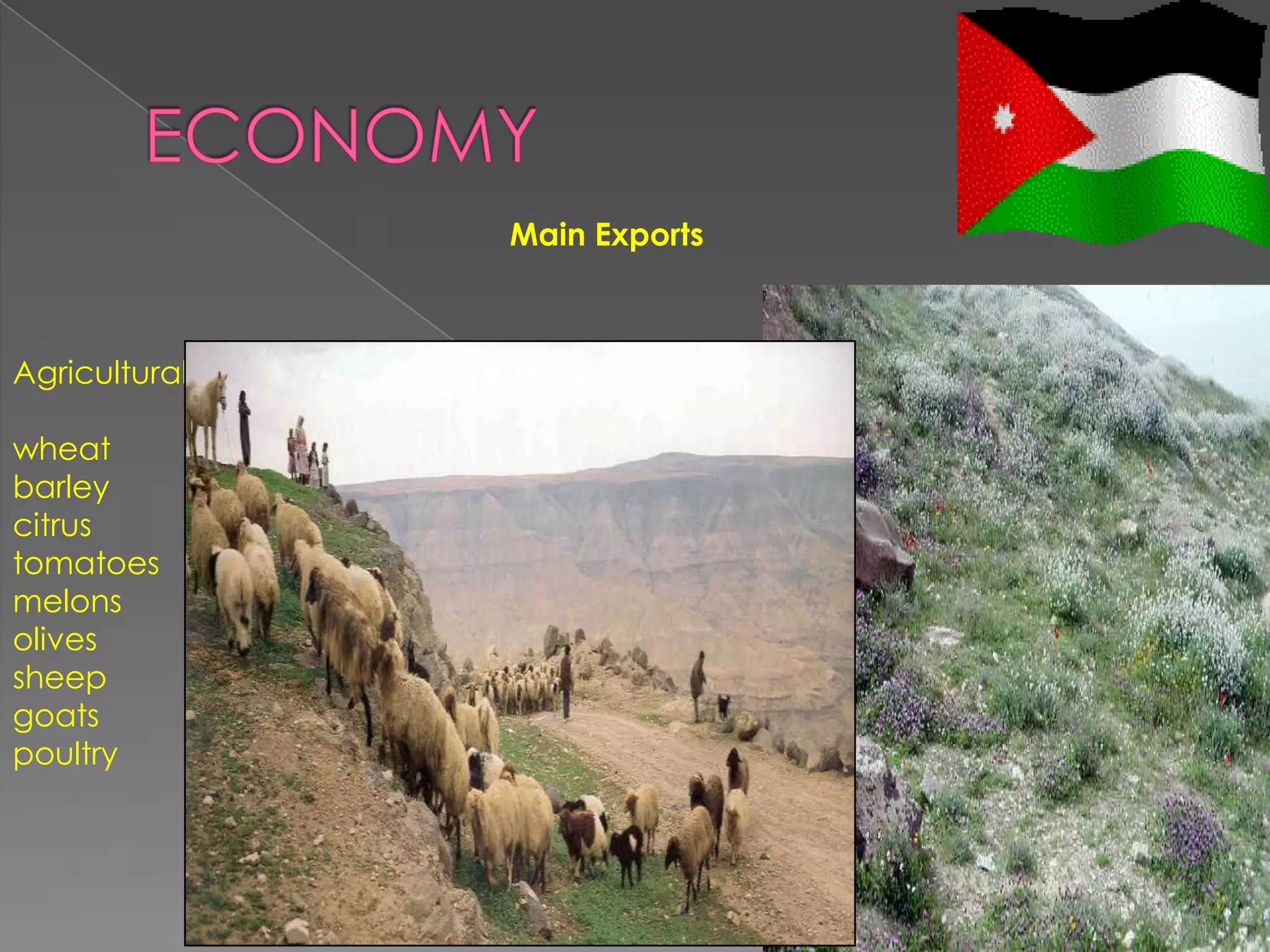 Main Exports



Agricultural:

wheat
barley
citrus
tomatoes
melons
olives
sheep
goats
poultry
 