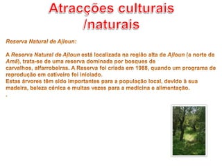 Atracções culturais /naturaisReserva Natural de Ajloun: A Reserva Natural de Ajloun está localizada na região alta de Ajloun (a norte de Amã), trata-se de uma reserva dominada por bosques de carvalhos, alfarrobeiras. A Reserva foi criada em 1988, quando um programa de reprodução em cativeiro foi iniciado. Estas árvores têm sido importantes para a população local, devido à sua madeira, beleza cénica e muitas vezes para a medicina e alimentação..
