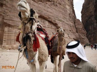 PETRA