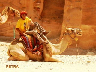 PETRA