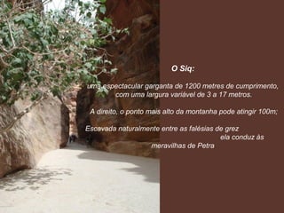 O Siq:

uma espectacular garganta de 1200 metres de cumprimento,
       com uma largura variável de 3 a 17 metros.

 A direito, o ponto mais alto da montanha pode atingir 100m;

Escavada naturalmente entre as falésias de grez
                                         ela conduz às
                  meravilhas de Petra
 