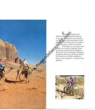 ©
w
w
w
.m
useodelaexpo92.com
 