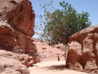 Jordanie, beauté du moyen-orient