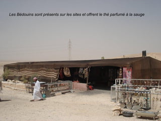 Les Bédouins sont présents sur les sites et offrent le thé parfumé à la sauge
 