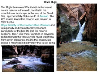 The Mujib Reserve of Wadi Mujib is the lowest nature reserve in the world, located in the mountainous landscape to the east of the Dead Sea, approximately 90 km south of  Amman . The 220 square kilometers reserve was created in 1987 by the  Royal Society for the Conservation of Nature  and is regionally and internationally important, particularly for the bird life that the reserve supports. This 1,300 meter variation in elevation, combined with the valley's year round water flow from seven tributaries, means that Wadi Mujib enjoys a magnificent biodiversity that is still being explored and documented today.  Wadi Mujib 
