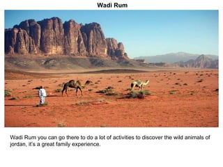 Wadi Rum you can go there to do a lot of activities to discover the wild animals of jordan, it’s a great family experience. Wadi Rum 
