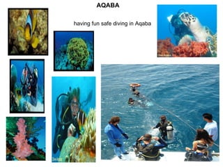 having fun safe diving in Aqaba   AQABA 