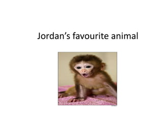 Jordan’s favourite animal
 