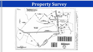 Property Survey
 