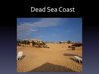 Dead Sea Coast

 