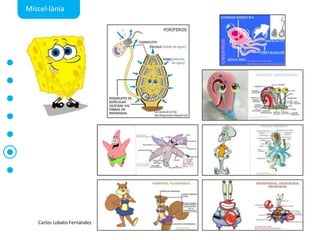 Miscel·làniaCarlos Lobato Fernández