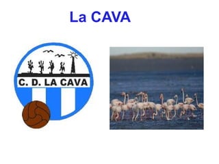 La CAVA
 