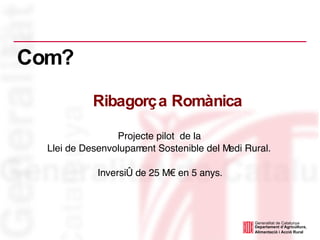 Projecte pilot  de la  Llei de Desenvolupament Sostenible del Medi Rural.  Inversió de  25 M€ en 5 anys. Com? Ribagorça Romànica 