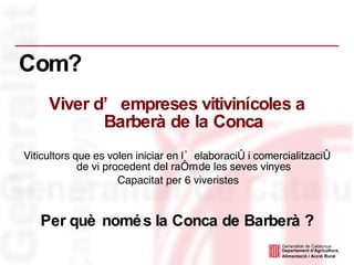 Viticultors que es volen iniciar en l’elaboració i comercialització de vi procedent del raïm de les seves vinyes Capacitat per 6 viveristes Viver d’empreses vitivinícoles a Barberà de la Conca Per què només la Conca de Barberà ? Com? 