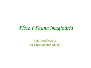 Flora i Fauna imaginària Fotos realitzades a  Sa Talaia de Sant Antoni. 