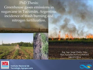 PhD Thesis:
Greenhouse gases emissions in
sugarcane in Tucumán, Argentina:
incidence of trash burning and
nitrogen fertilization.

Ing. Agr. Jorge Chalco Vera
EEA Famaillá INTA-CONICET
ARGENTINA

 